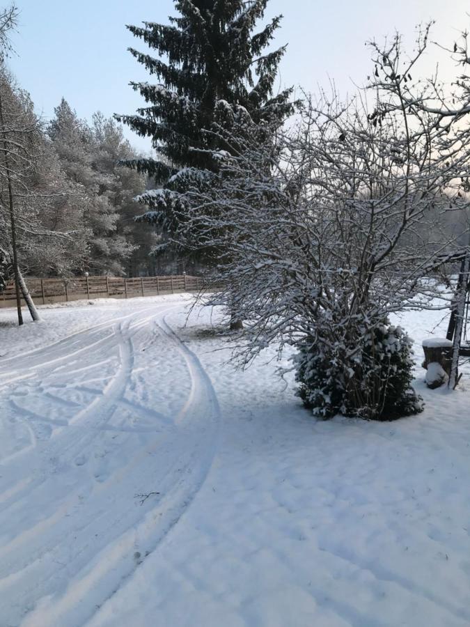 Plener Holiday home